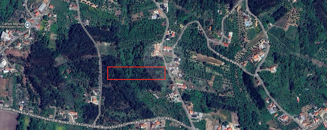 listing-picture-0
