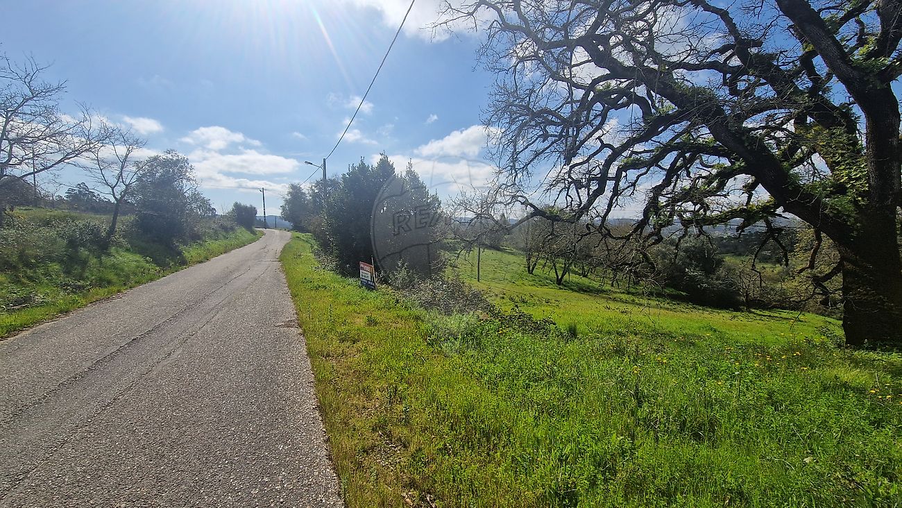 Terreno em Pombal
