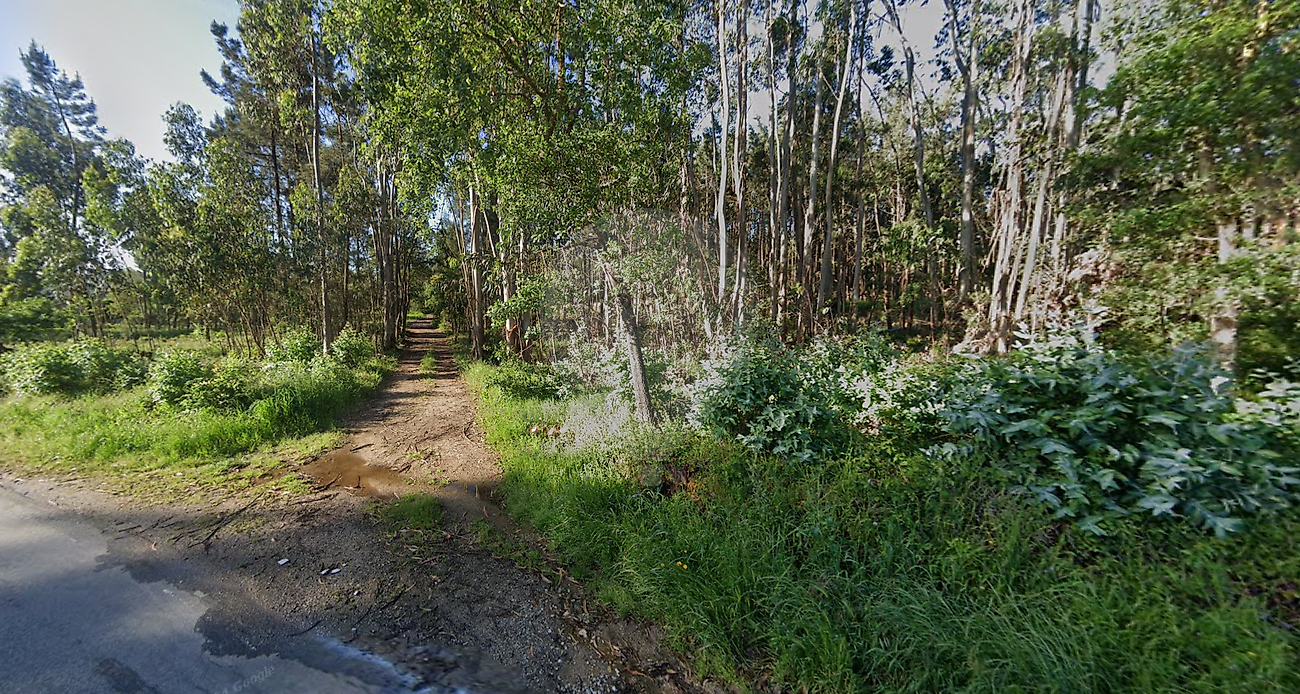 Terreno à venda em Ourém