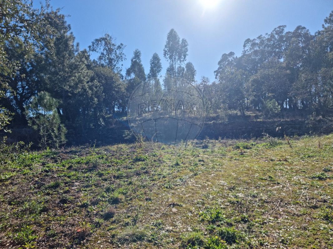 Terreno  para venda
