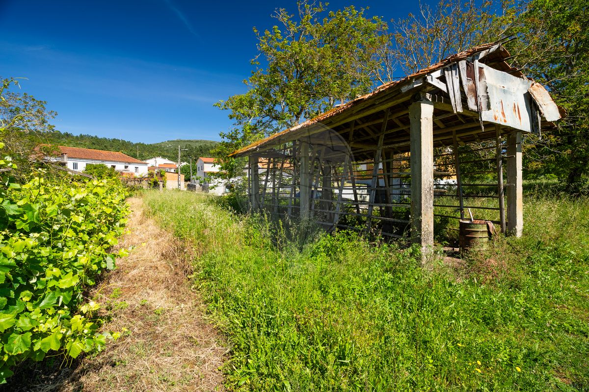 listing-picture-0