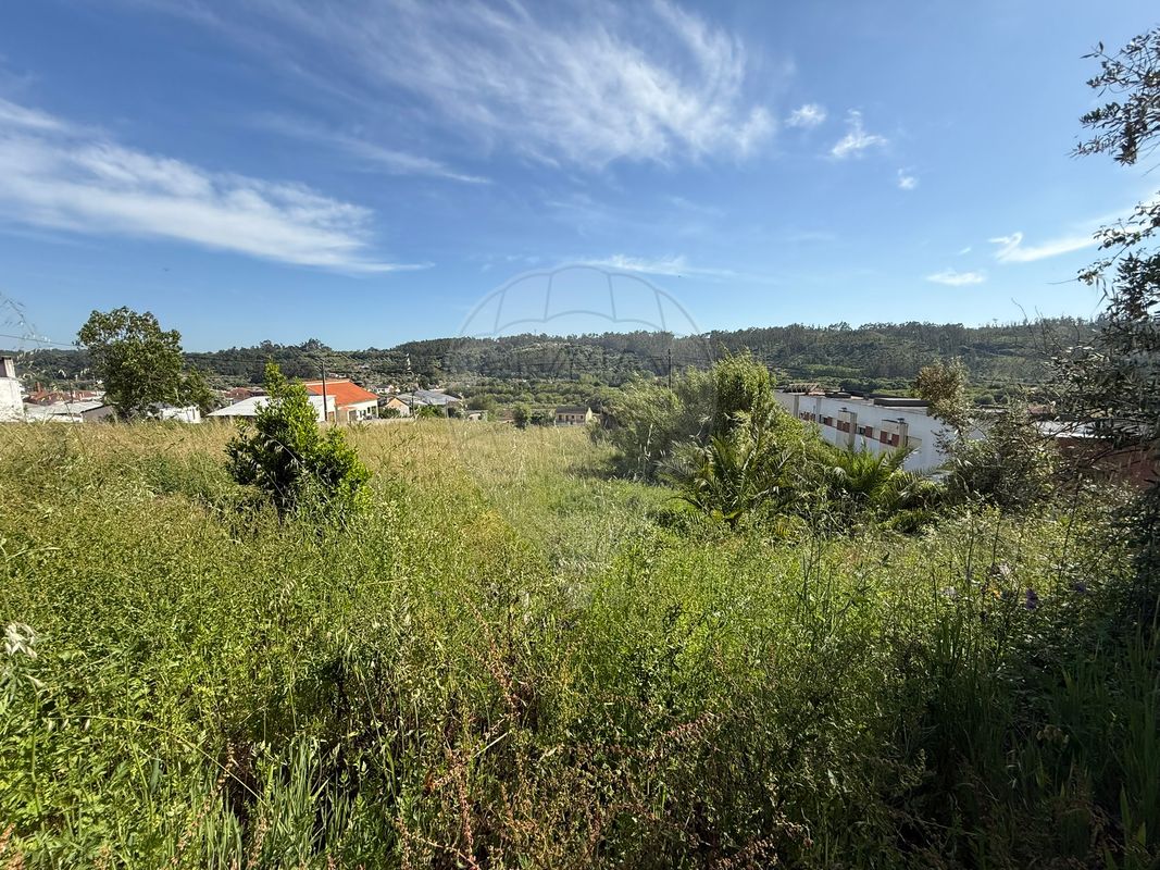 listing 124631141-37 picture-0