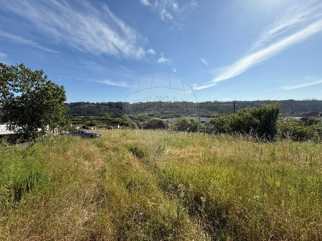 listing 124631141-37 picture-0