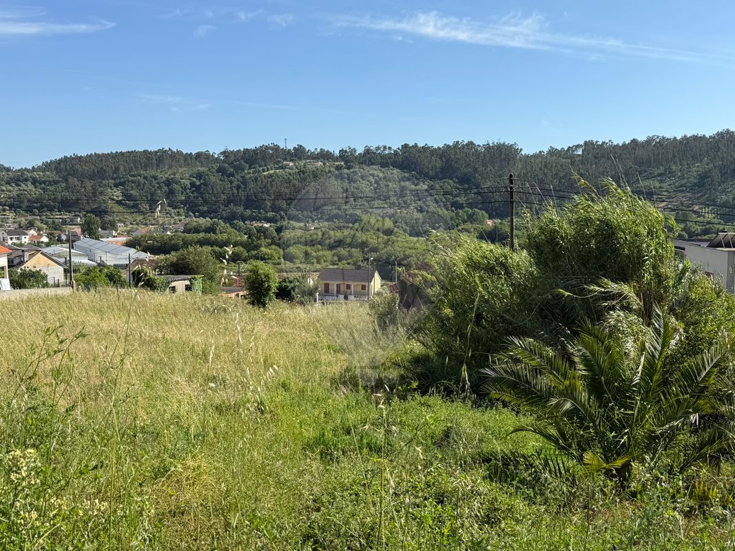 listing 124631141-37 picture-0