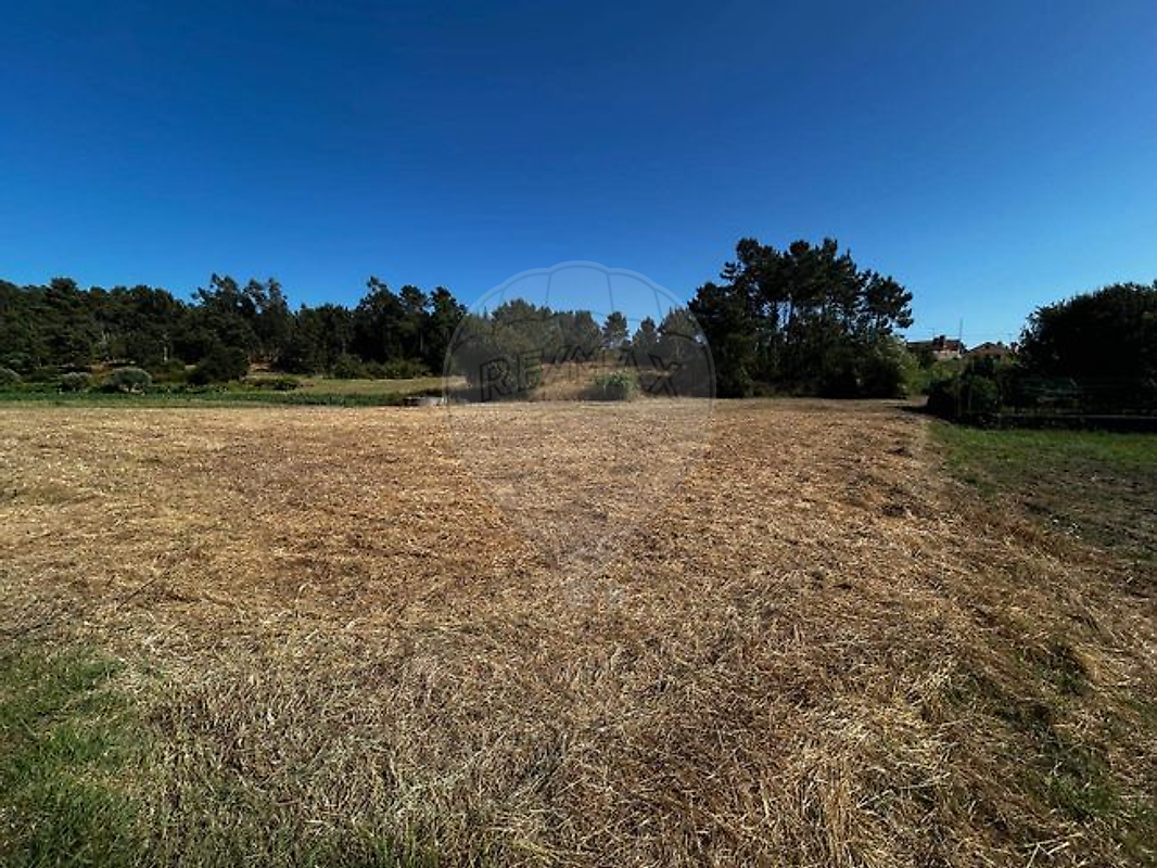 Terreno  para venda