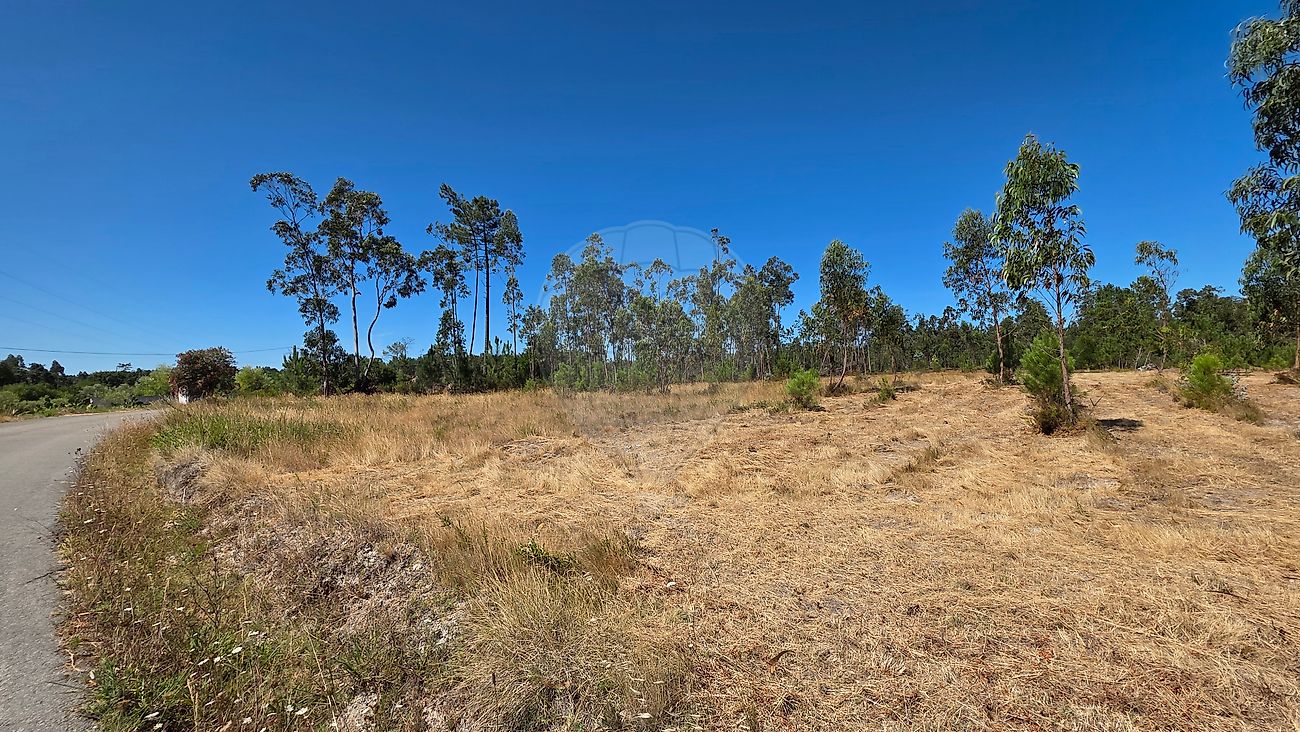 Terreno - Soure, Soure, Coimbra