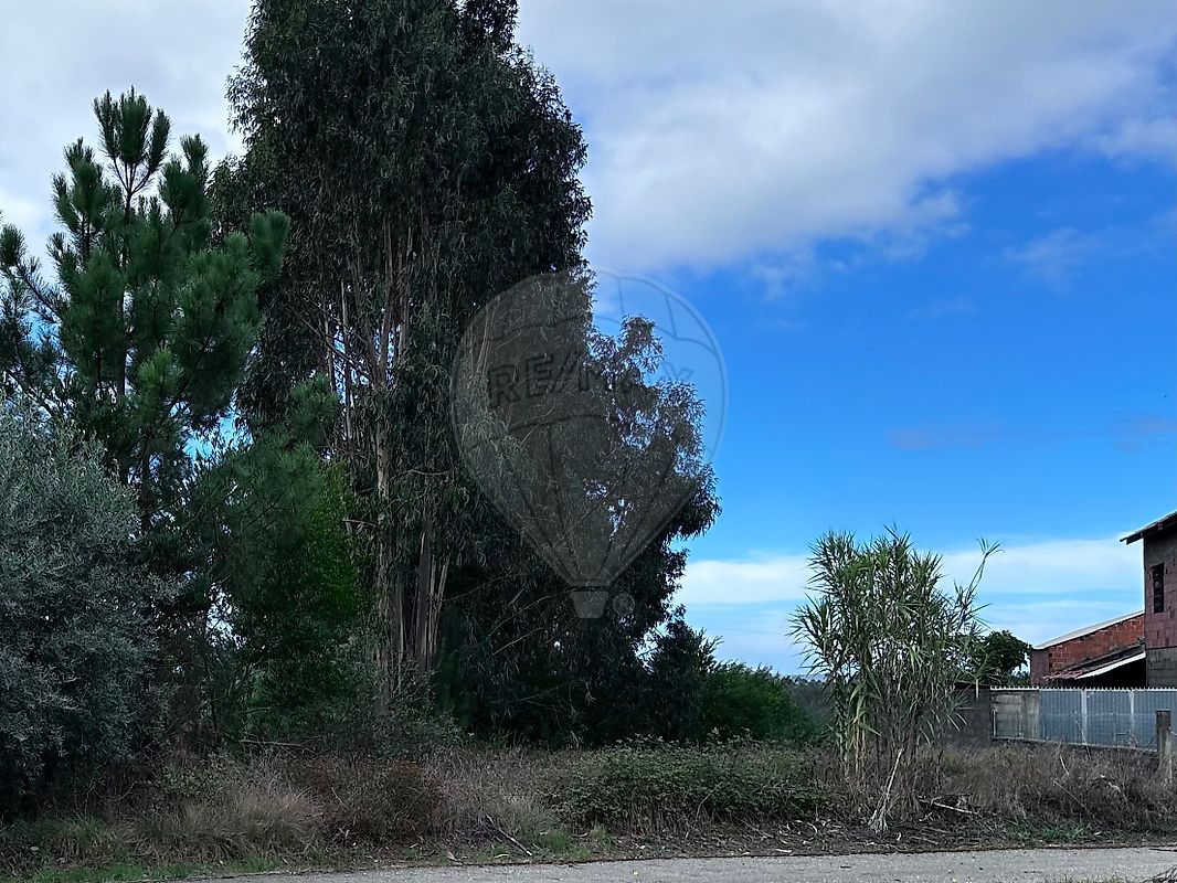 Terreno  para venda