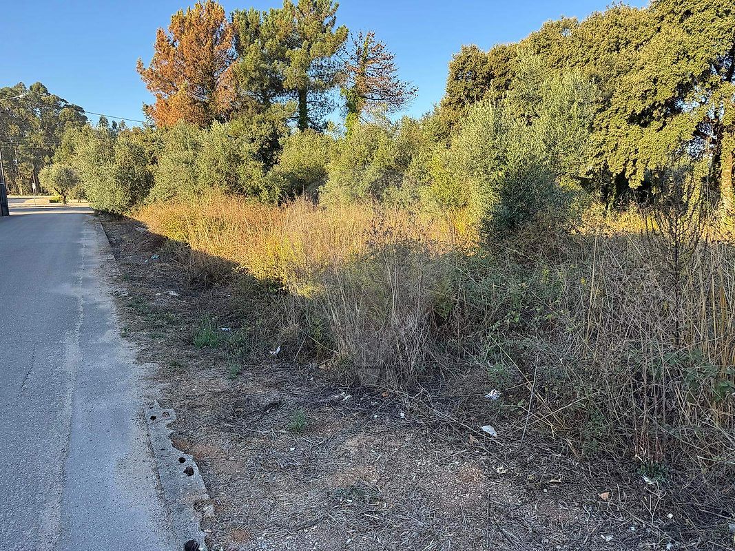 Terreno  para venda