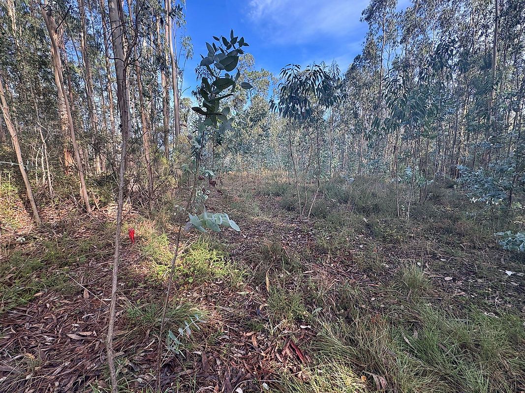 Terreno à venda em Batalha