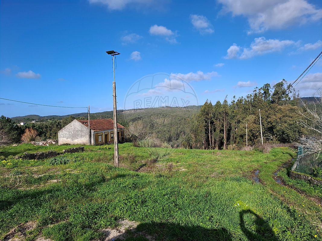 Terreno - Vinha da Rainha, Soure, Coimbra