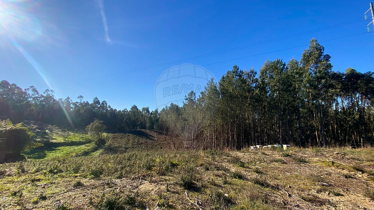 Terreno - Urqueira, Ourém, Santarém