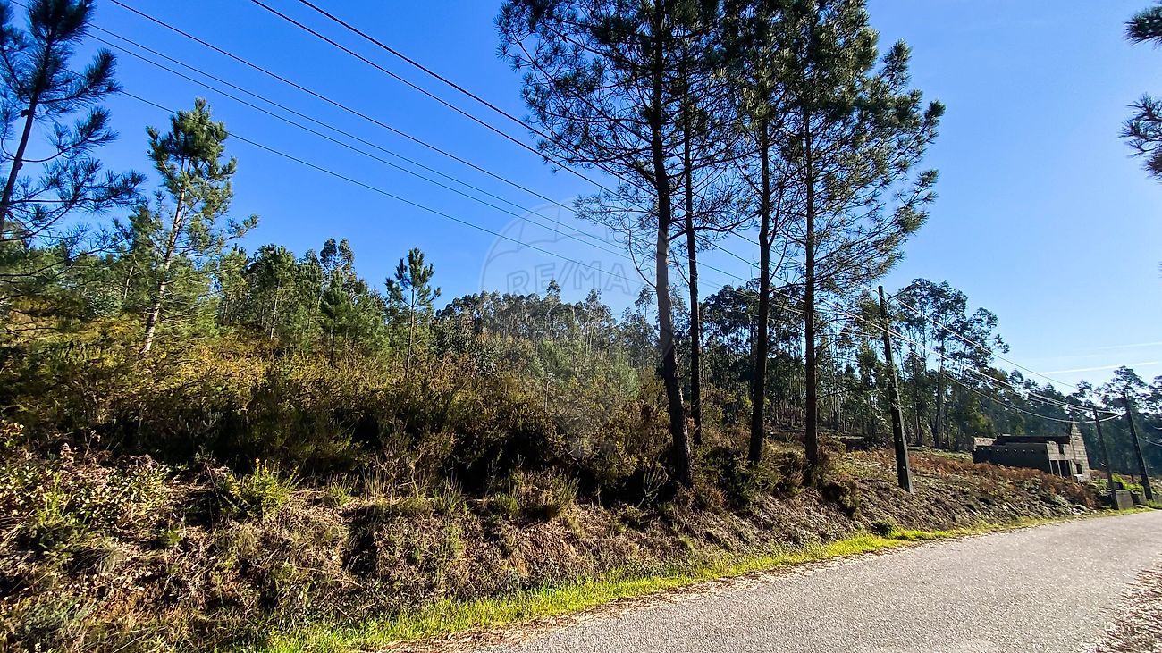 Terreno - Urqueira, Ourém, Santarém