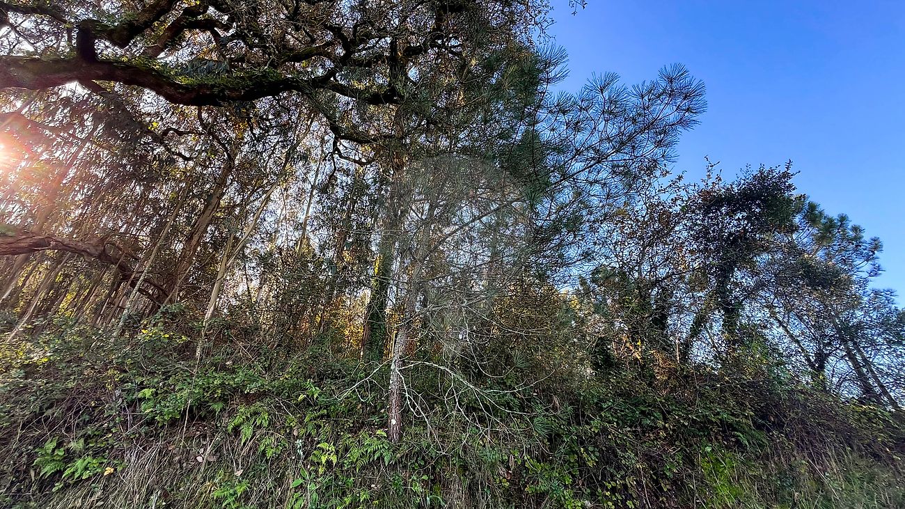Terreno - Urqueira, Ourém, Santarém