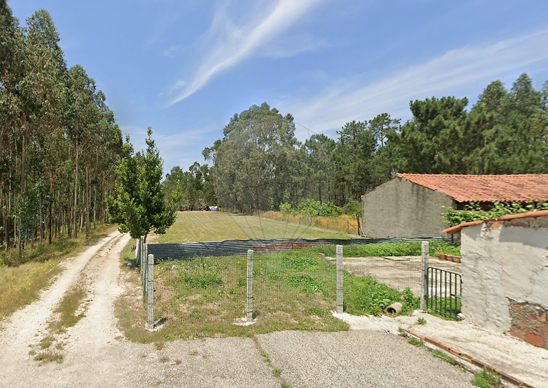 Terreno - Juncal, Porto de Mós, Leiria