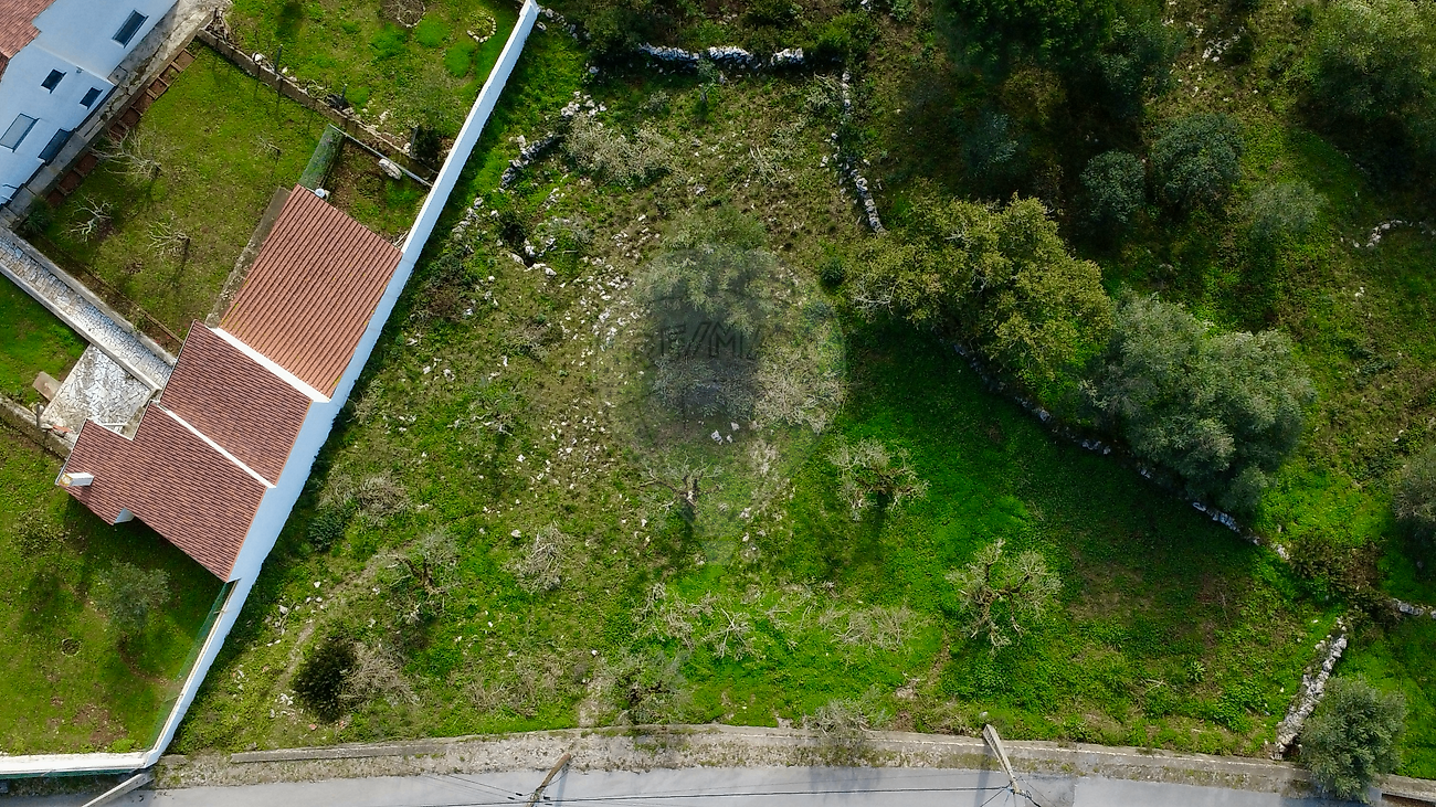 Terreno - Mira de Aire, Porto de Mós, Leiria