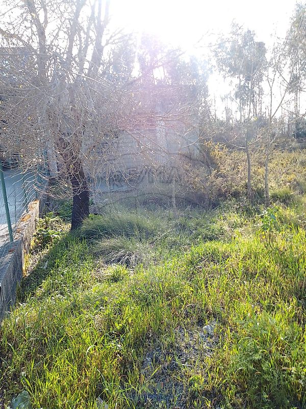 Terreno - Fátima, Ourém, Santarém