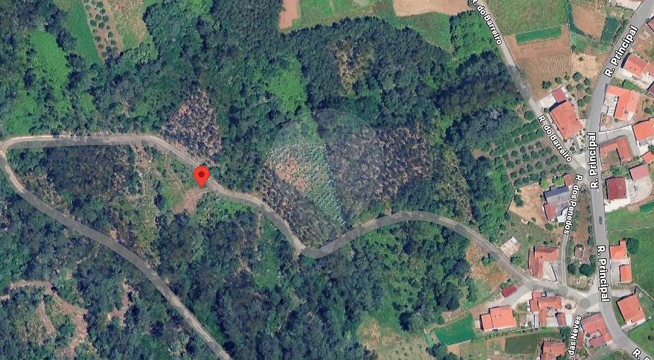 Terreno - São Mamede, Batalha, Leiria