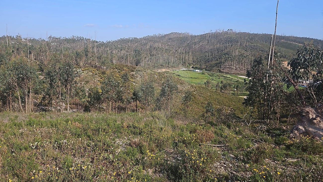 Terreno - Caxarias, Ourém, Santarém