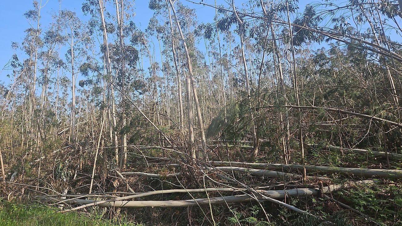 Terreno - Urqueira, Ourém, Santarém