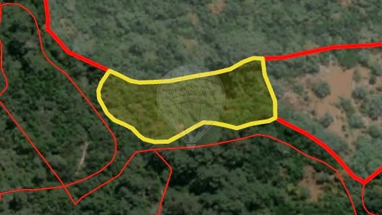 Terreno - Mira de Aire, Porto de Mós, Leiria