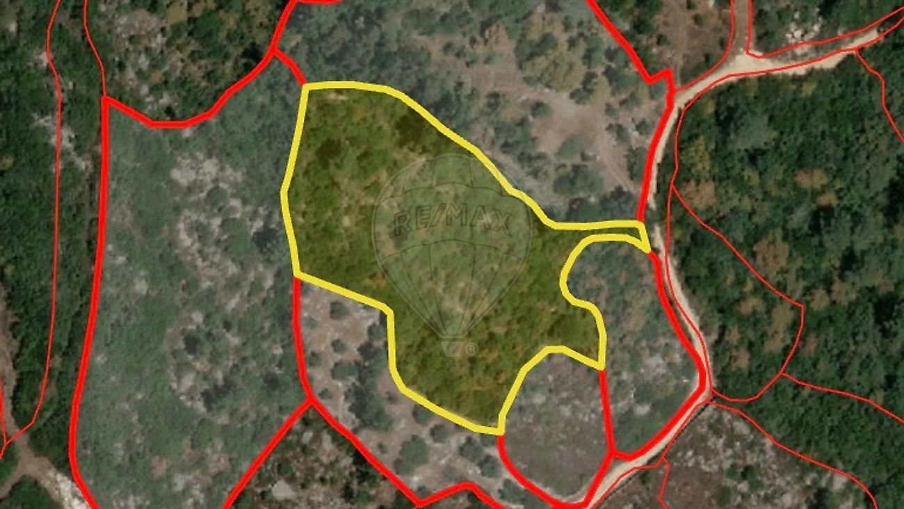Terreno - Mira de Aire, Porto de Mós, Leiria