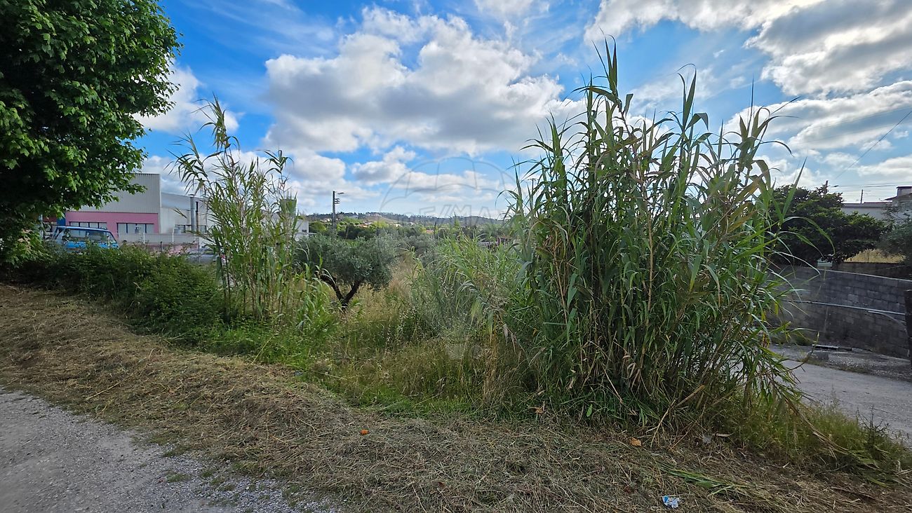 Terreno - Redinha, Pombal, Leiria