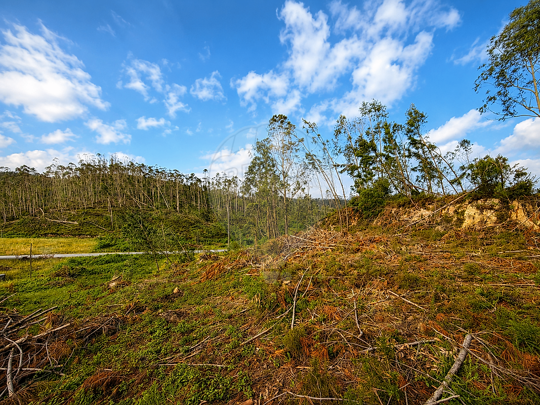 Terreno - Espite, Ourém, Santarém