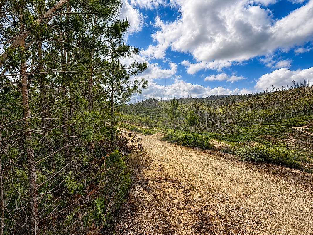 Terreno - Matas e Cercal, Ourém, Santarém