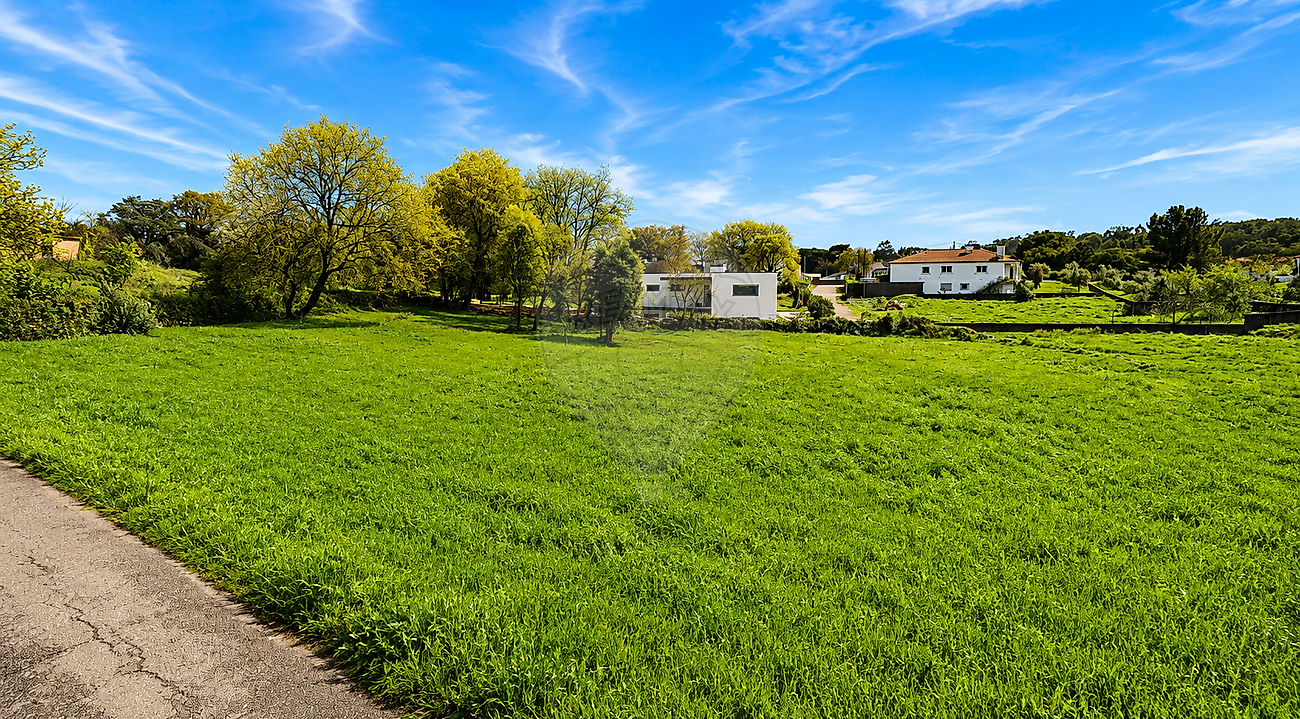 Terreno - Fátima, Ourém, Santarém