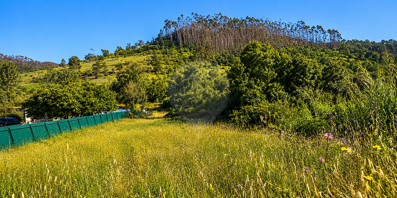 Terreno - Espite, Ourém, Santarém