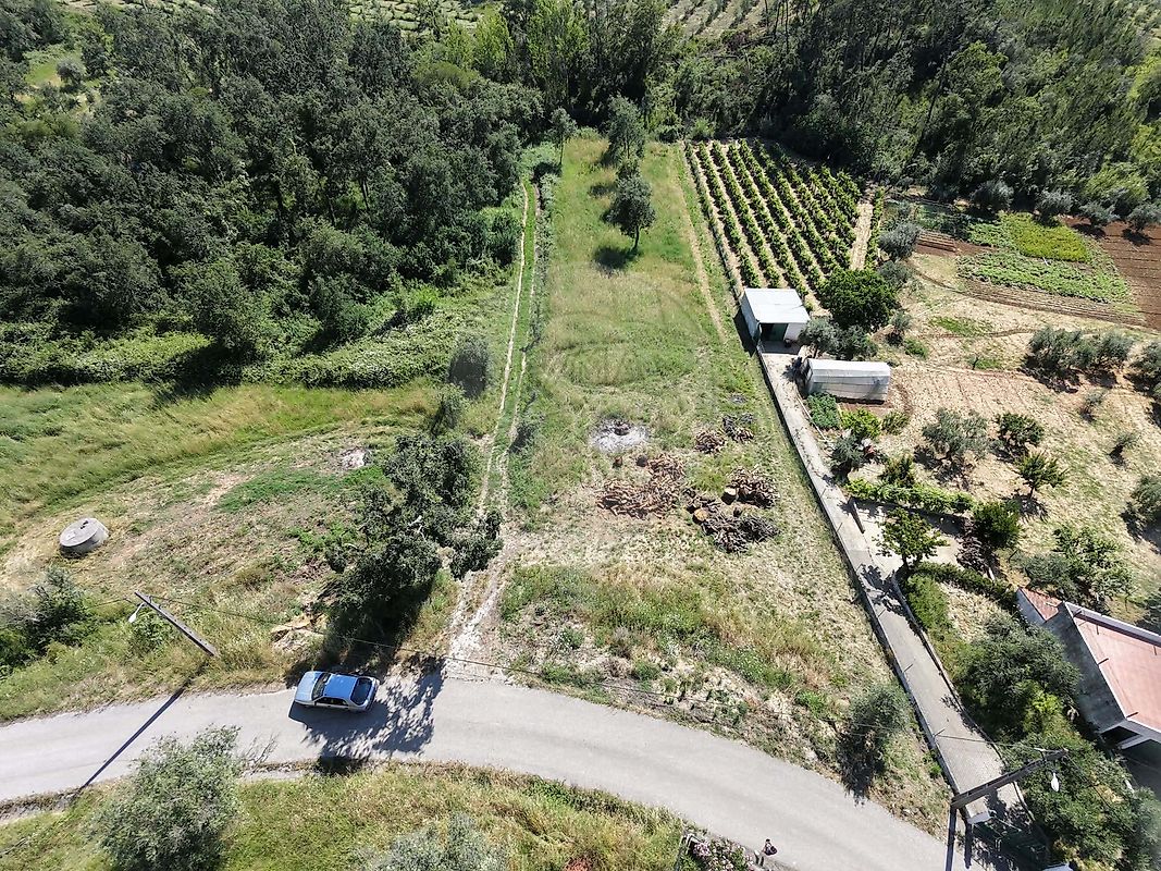 Terreno - Santiago e São Simão de Litém e Albergaria dos Doze, Pombal, Leiria