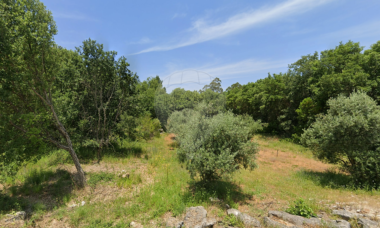 Terreno - Pedreiras, Porto de Mós, Leiria