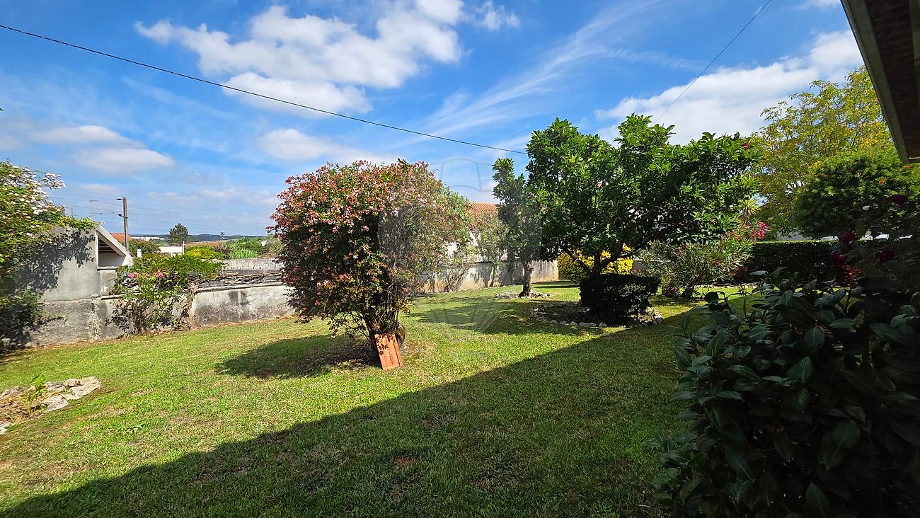Moradia T6+ à venda em Pelariga, Pombal — foto 13