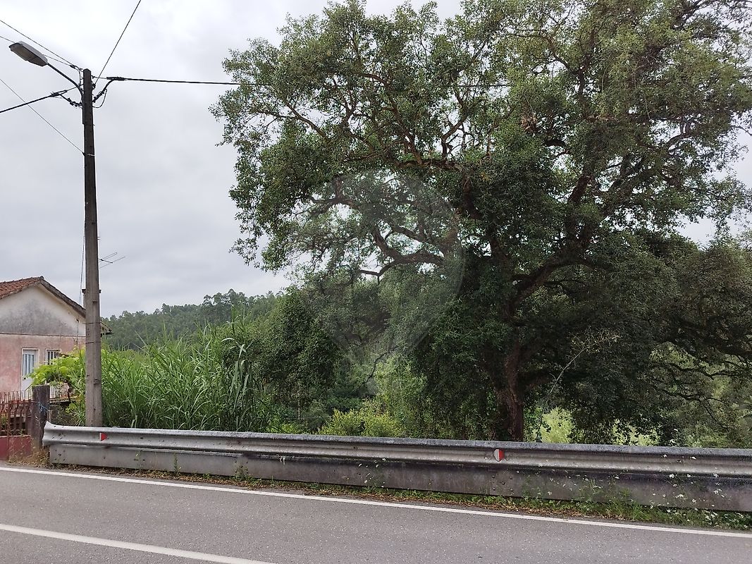 Terreno  à venda em Coimbra