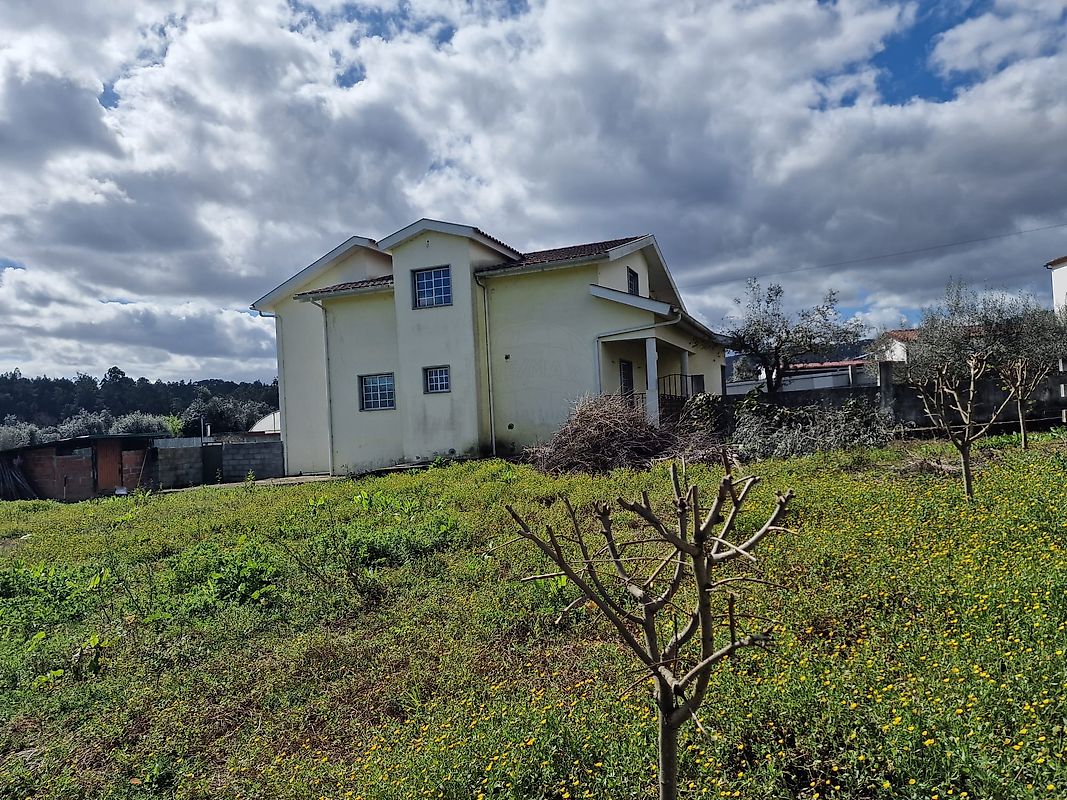 listing 124651049-61 picture-0