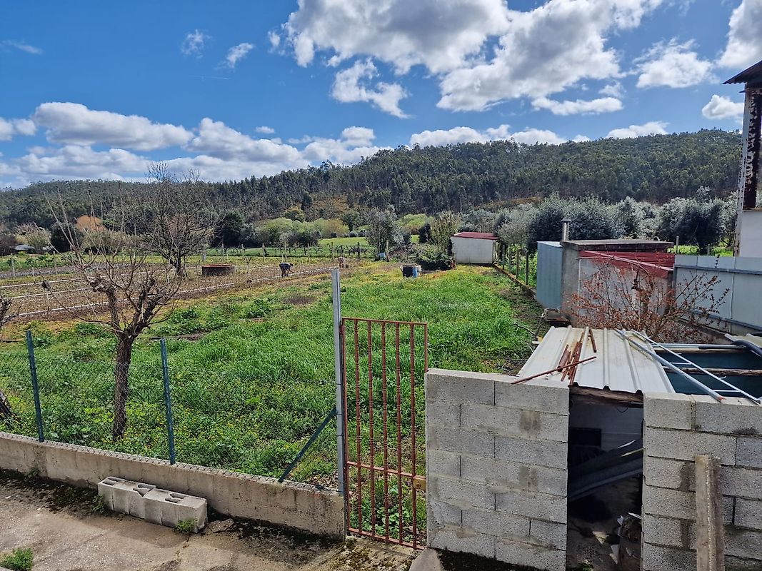 listing 124651049-61 picture-0