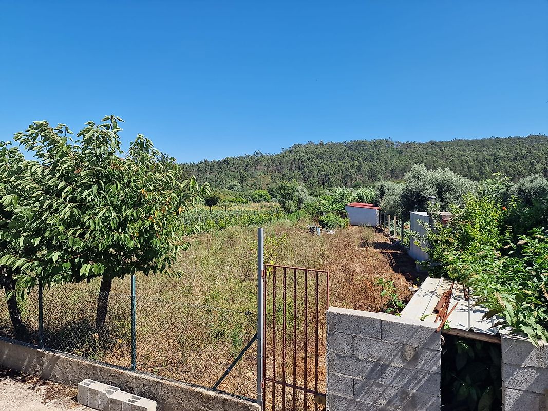 listing 124651049-61 picture-0