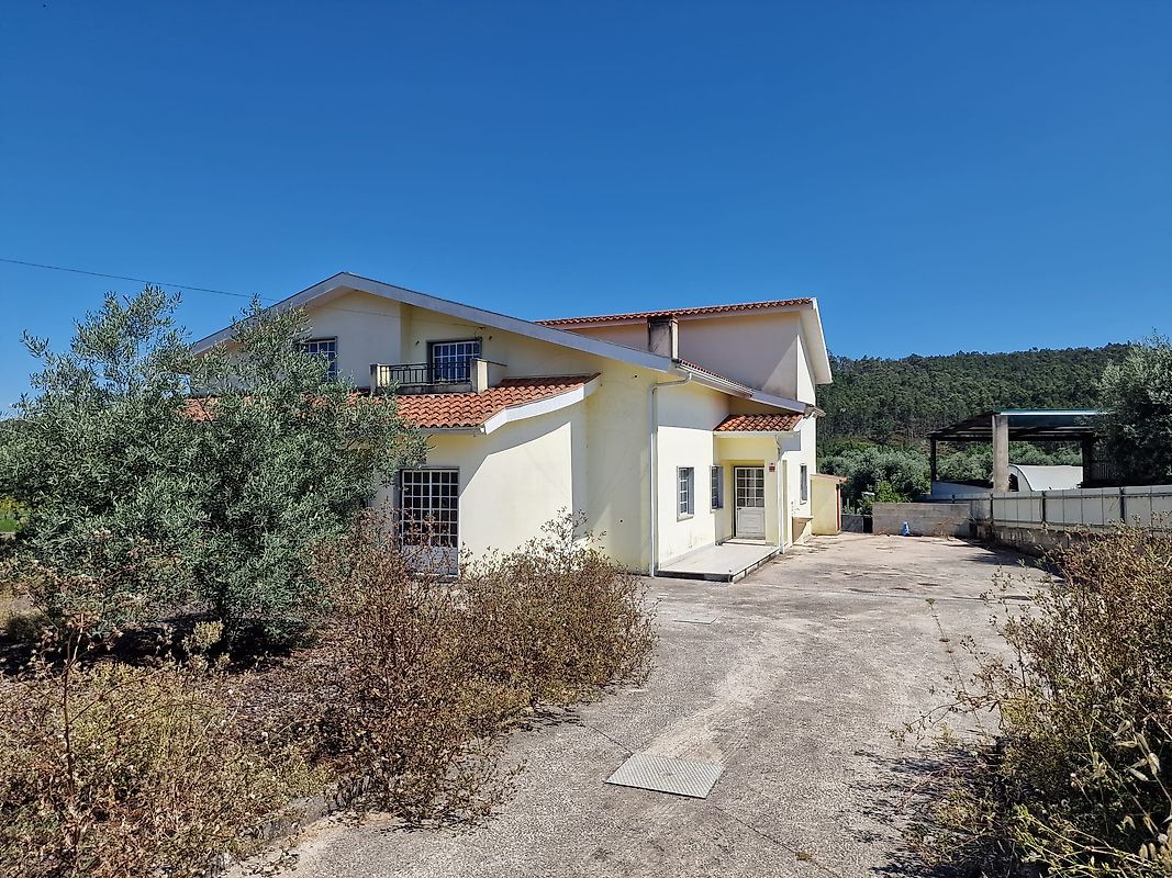 listing 124651049-61 picture-0