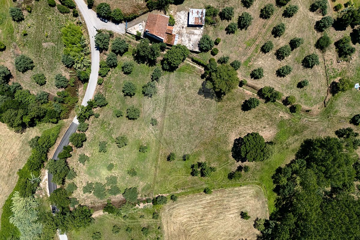 Land for sale in Condeixa-a-Nova, Portugal — €80,000