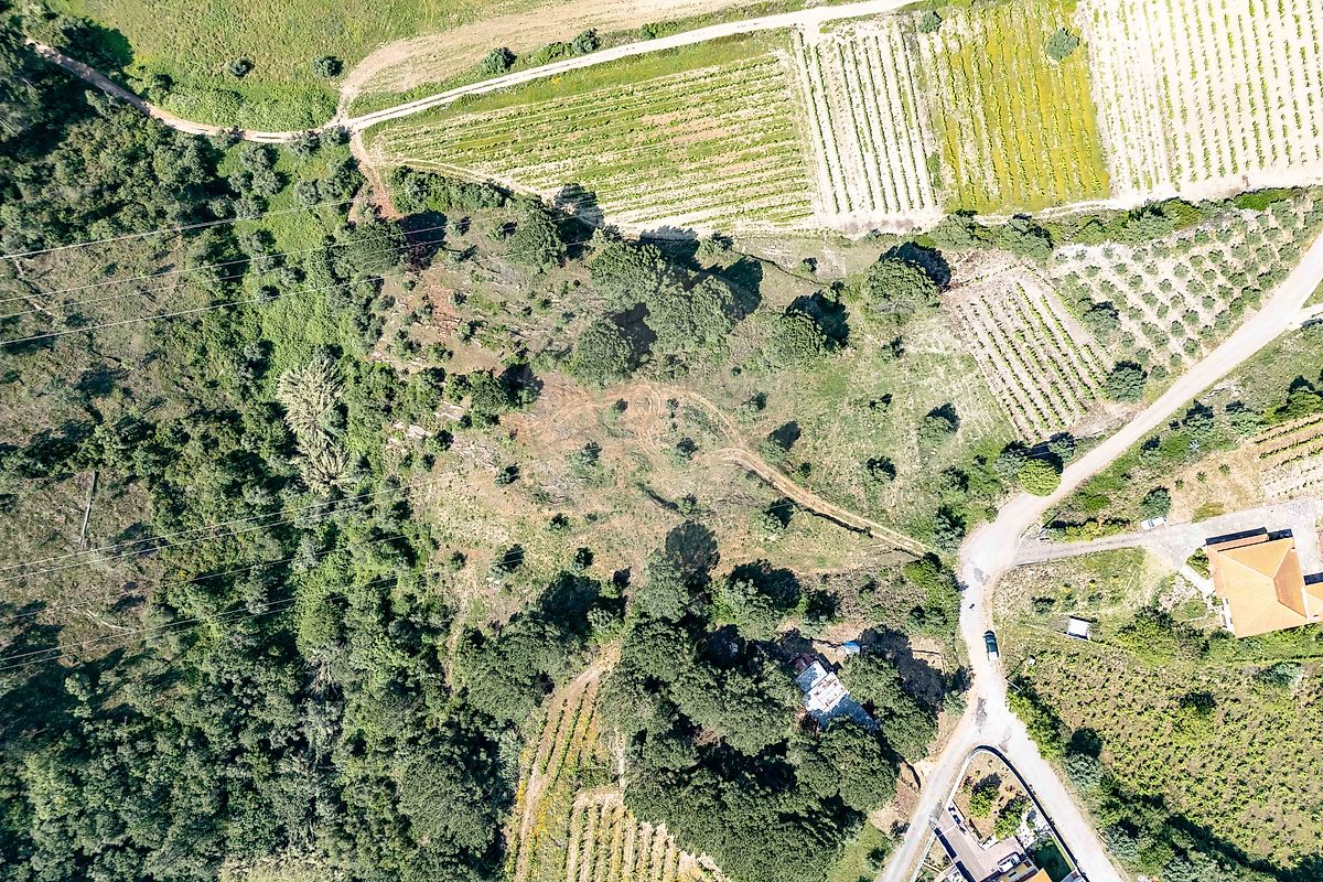 Terreno  à venda em Coimbra