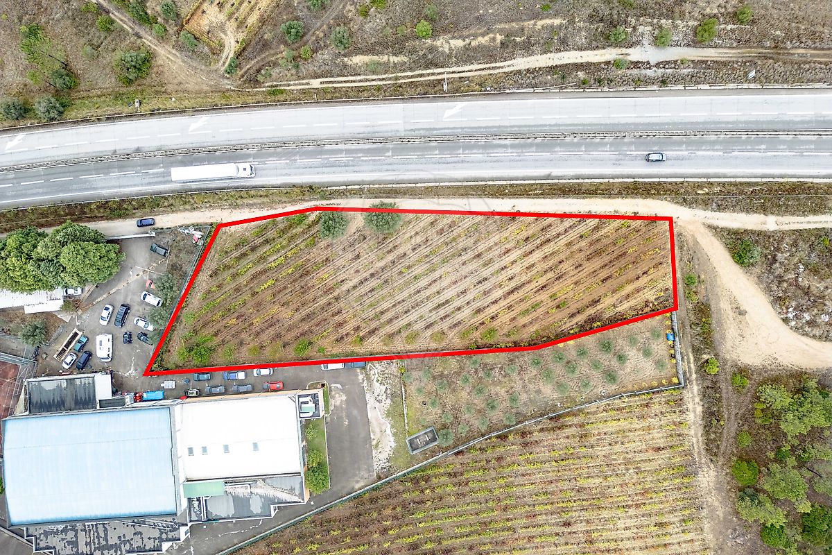 Terreno  à venda em Coimbra
