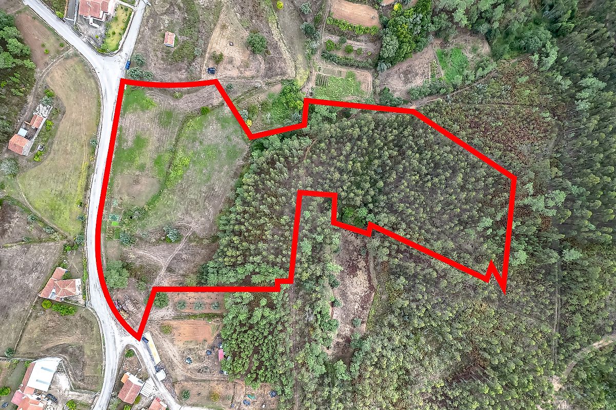 Terreno  à venda em Coimbra