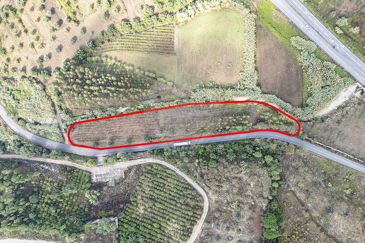 Terreno  à venda em Coimbra