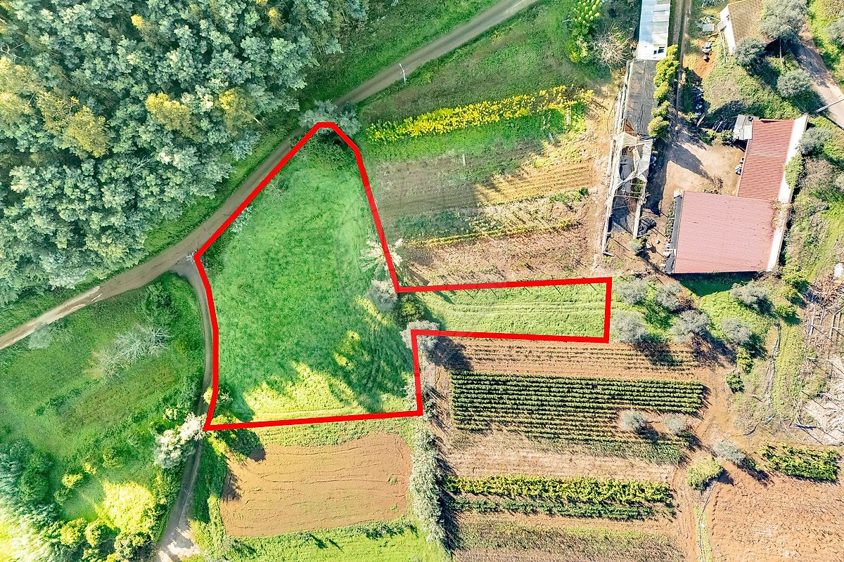 Terreno  à venda em Miranda do Corvo