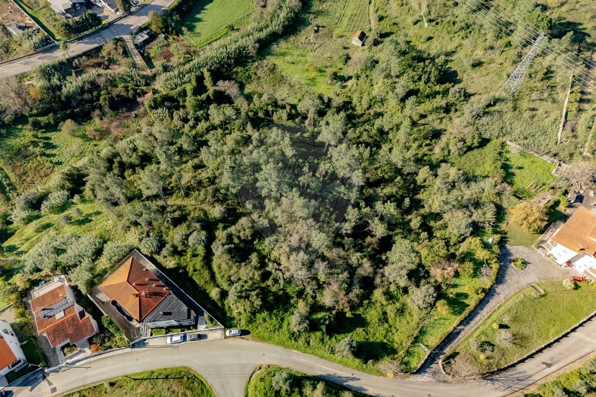 listing 124651193-23 picture-0