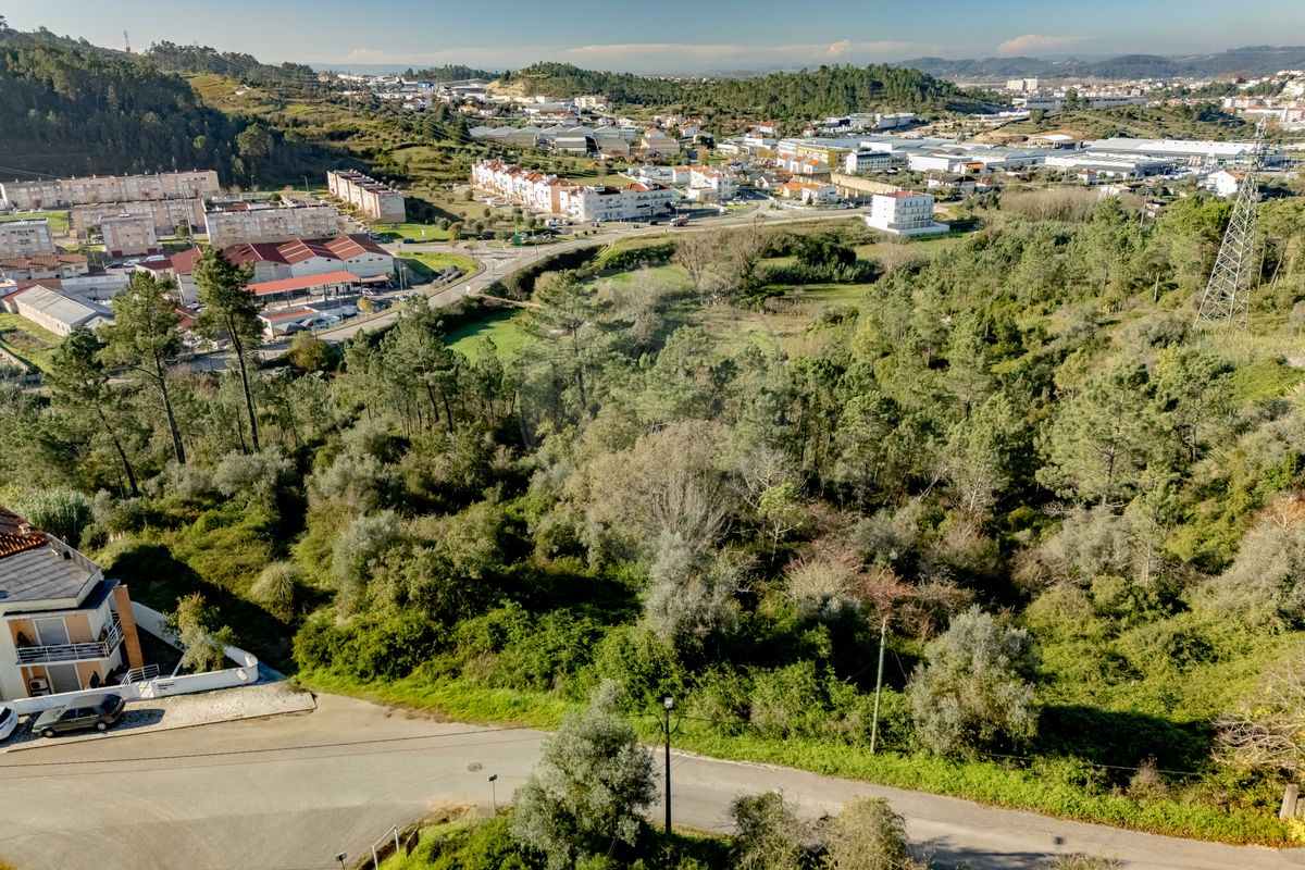 listing 124651193-23 picture-0