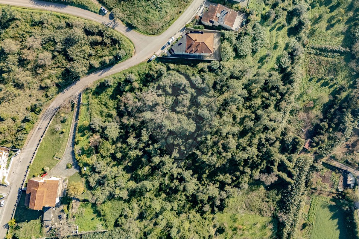 listing 124651193-23 picture-0