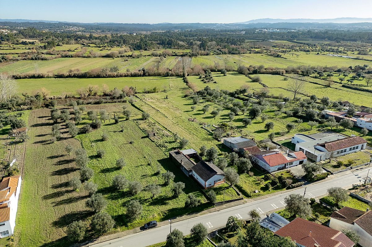Terreno - Sebal e Belide, Condeixa-a-Nova, Coimbra
