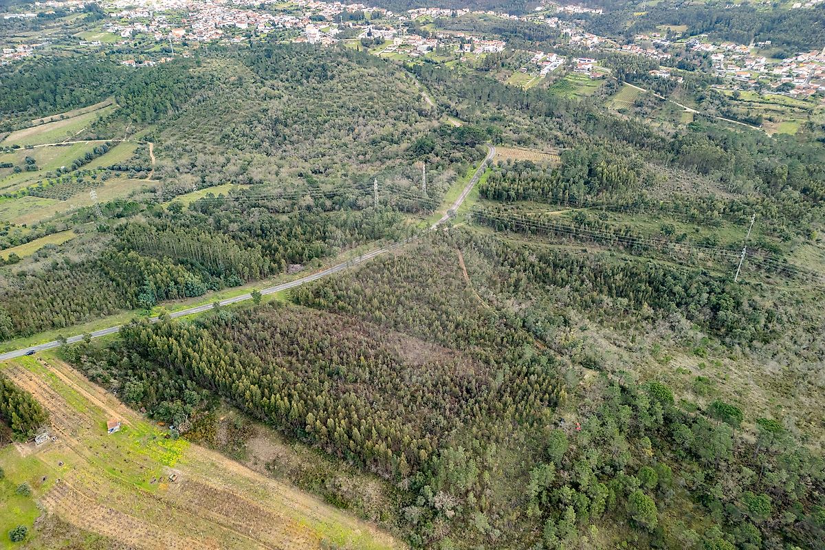 Terreno  à venda em Coimbra