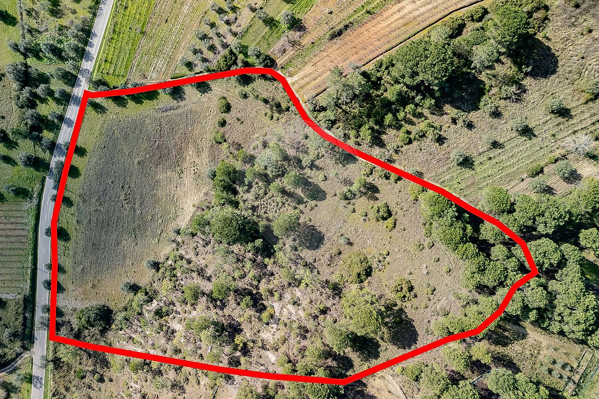 Terreno  à venda em Coimbra